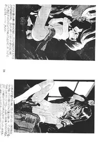 (C50) [PEACE MAKER (E=MC2)] JUNKY'S JUNKS (Various)