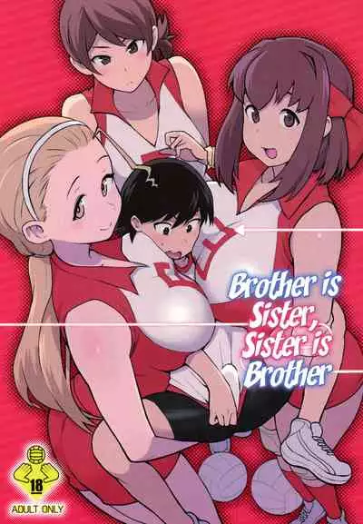 Ani ga Watashi de Watashi ga Ani de