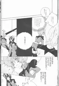 [OMEGA (Koune En)] Hoshizora Waltz (Kidou Senshi Gundam SEED DESTINY)