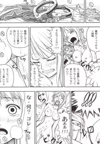 (C78) [Mikenekodou (Muten)] INSTINCT WORLD (One Piece)