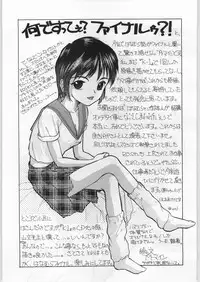 (C52) [Ryokan Hanamura (Various)] FAINAL HANAMURA (Various)