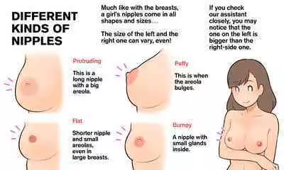 [Yoiko Books (66b)] Our Bodies (How Children Are Made) -2nd Edition (English)