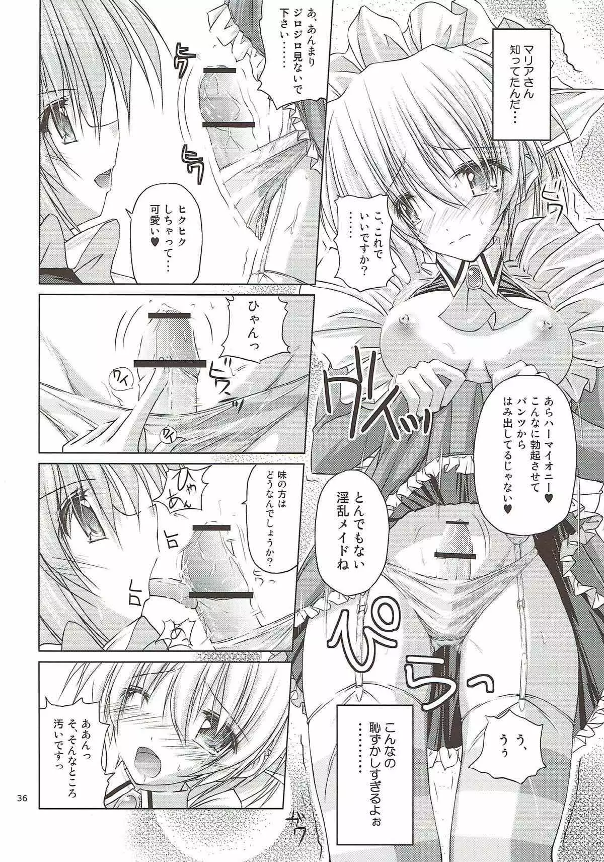 r.i.s archive 1 -ハヤテ本総集編-