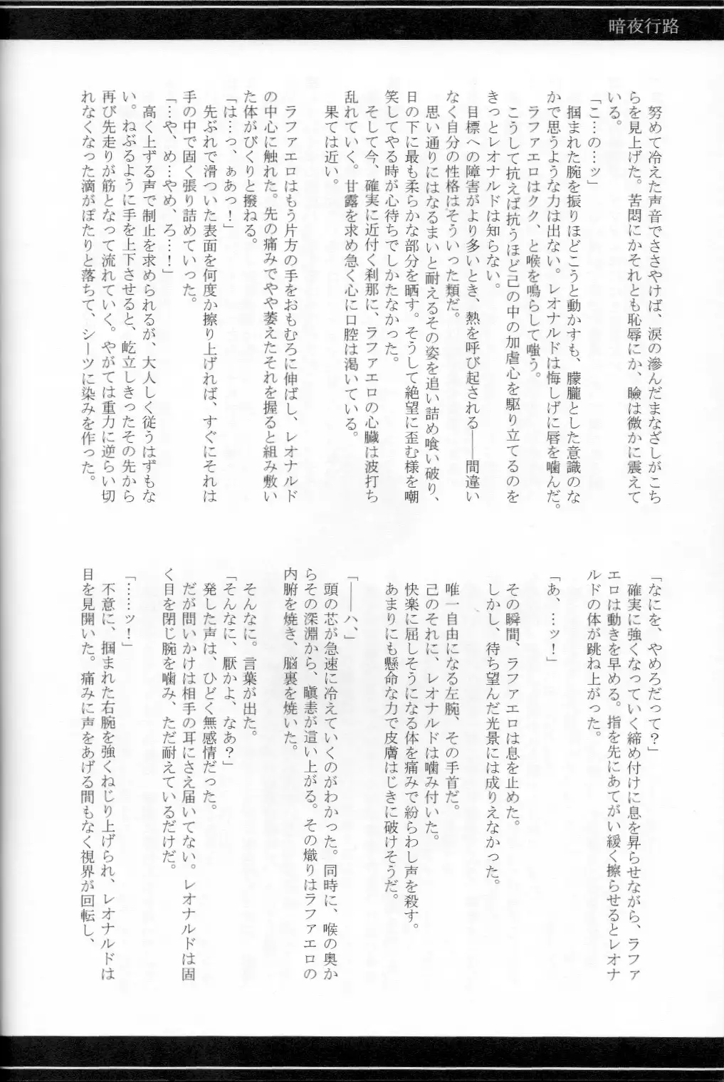 FALLEN - Raph vs Leo - Teenage Mutant Ninja Turtles, TMNT doujinshi