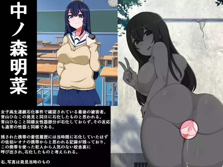 hukusyuu sekika apuri 3～yosikousei renzoku sekika ziken、tokubetu sousahan～