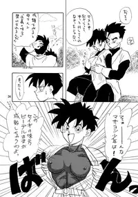 (C48) [Chirigami Goya, Fusuma Goten (Shouji Hariko)] YYY (Dragon Ball Z)