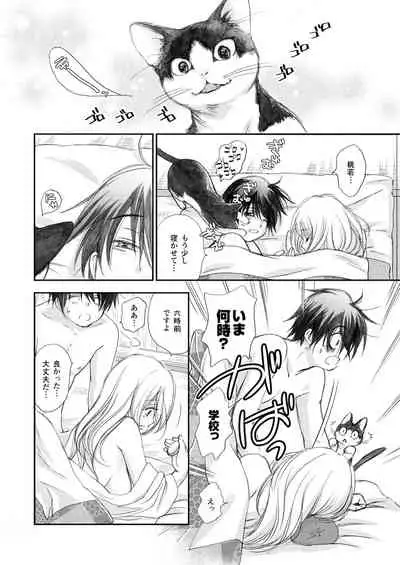 Hako no Naka no Neko Soushuuhen