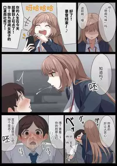 Birei sama no tsuba seme