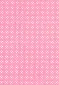 Kore ga Hontou no Anzio-sen desu