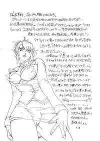 (C62) [ROAD DOG (Don Shigeru)] DENGEKI (Agent AIKa)