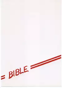 [Bible (Ogata Satomi)] Kyouakuteki Shidou Vol. 10 Junbigou (Kareshi Kanojo no Jijou)