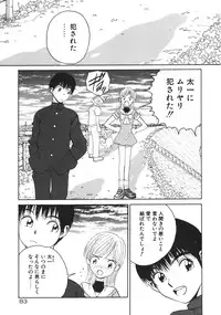 [Armadillo] Happy End