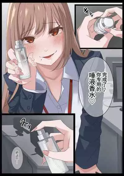 Birei sama no tsuba seme