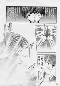 [ShikigamiAzuma]God Chome cat