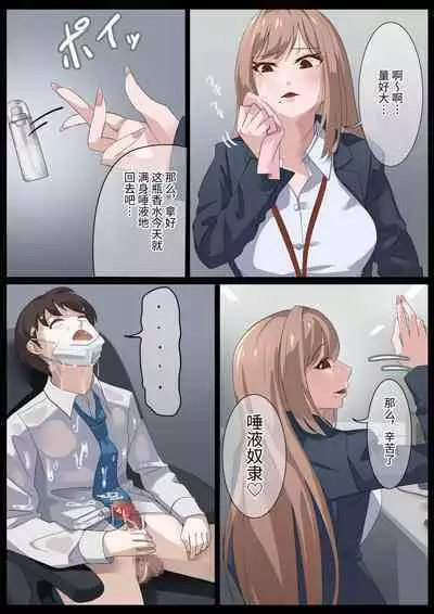 Birei sama no tsuba seme