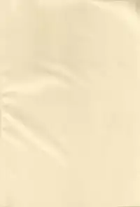 [LFM (Usagi)] Flashing Pink (Sakura Taisen)