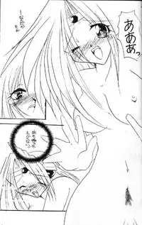 (C55) [Nekomarudow (Asama Keito, Tadima Yoshikadu, Yukako)] Itazura (Slayers)