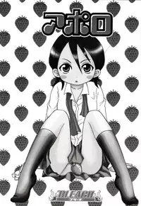 (C62) [73feti, Lychee. (Hinoe Nami, Mizunoto Lychee)] Apollo (Bleach)