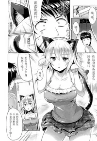 [Nekoi Hikaru] Neko.Kawaii desyo (COMIC Aun 2014-12) [Chinese] [名潴學園]