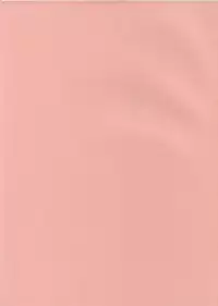 (C63) [Cafeteria Watermelon (Kosuge Yuutarou)] Minesweeper 2 (Rizelmine)