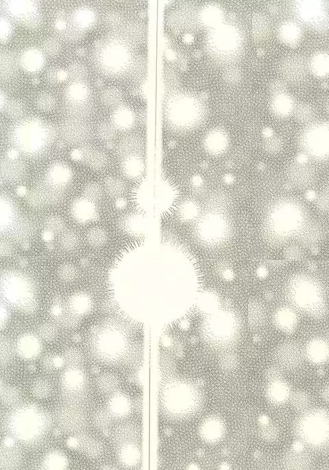 Katachi ni Naru Omoi