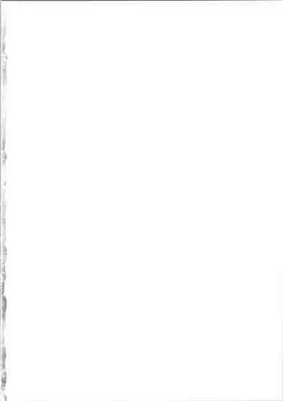 Star Twinkle PuniCure 2