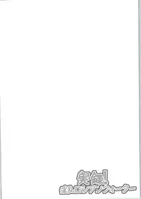 (C87) [Shouchuu MAC (Hozumi Kenji)] Jitsuroku! Inran Russian Quarter! (Love Live!)