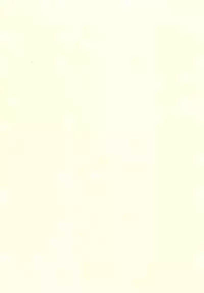 Koibito etchi ga ama sugiru