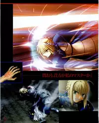 Fate/stay night Premium FanBook