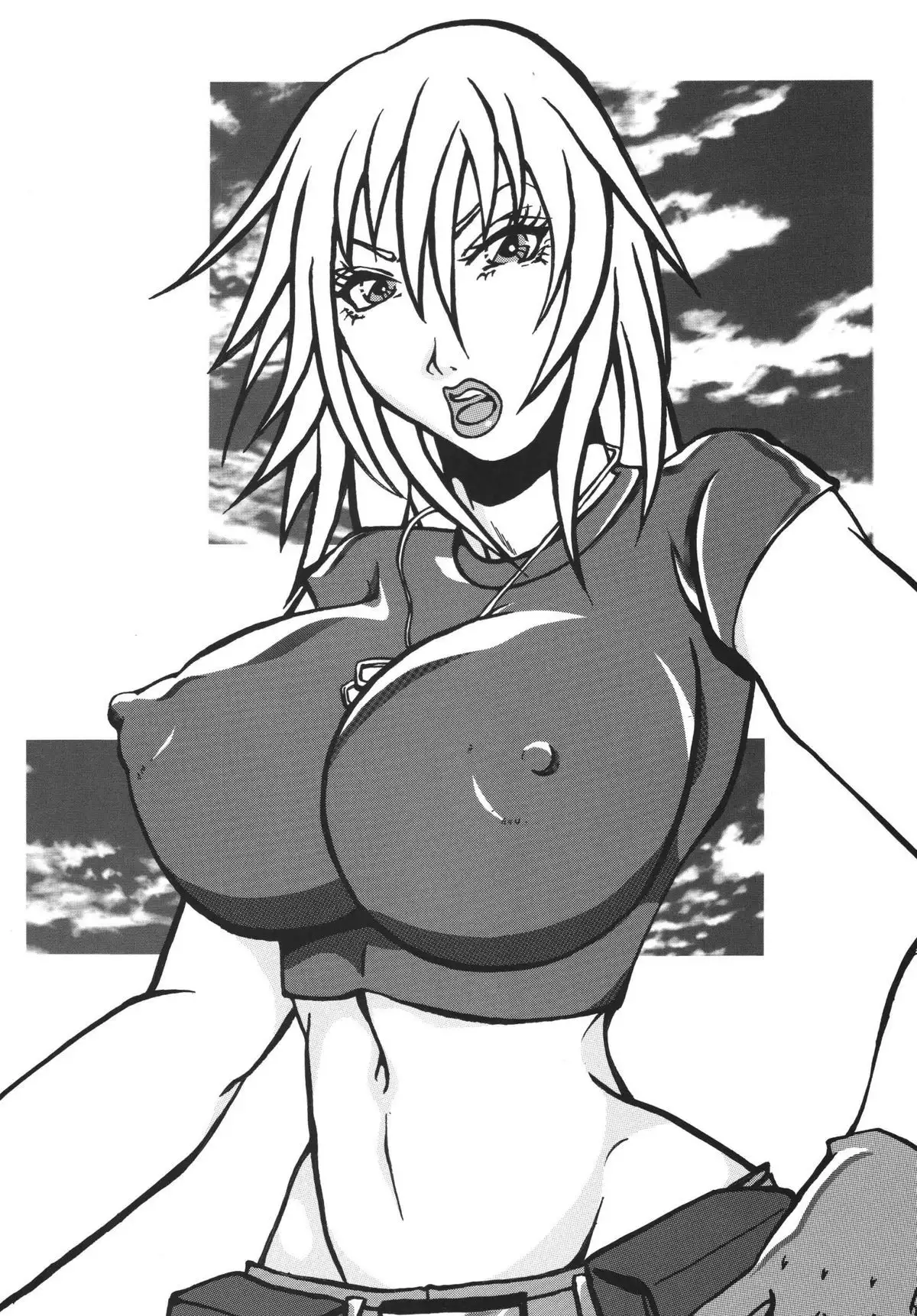 NEXT Climax Magazine 14 GUNDAM SEED ONLY