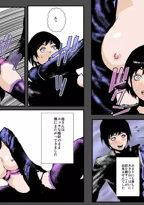 Boshi no Haitoku no Chikai ~Musuko no Ko o Haramu to Chikaimasu~