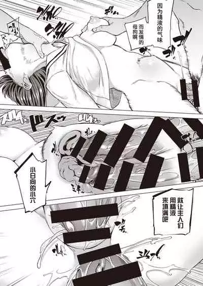 Pet Girl | 饲养女孩