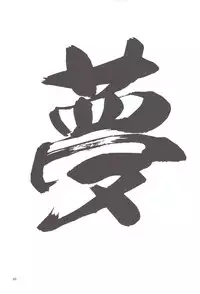 [NEO-de (Natsuzaka)] Tadashii Hito (Gundam Seed Destiny)