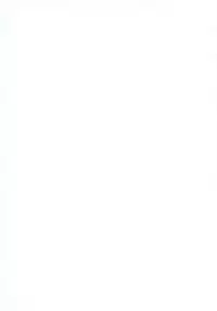 (C78) [UDON-YA (Kizuki Aruchu, ZAN)] Monhan no Erohon 9 (Monster Hunter)