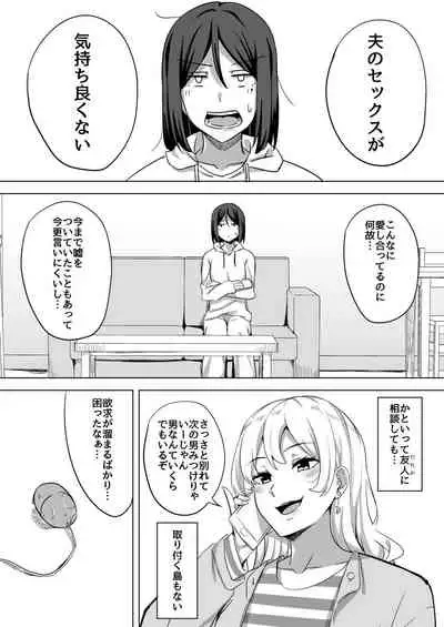 Inran Hitozuma no Uwaki Nikki "Mukashi no SeFri"