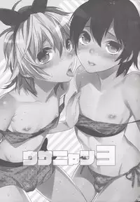 (C84) [Ash Wing (Makuro)] Usa Nyan 3