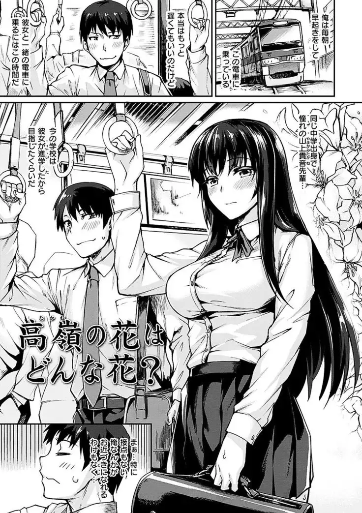 Suki tte Itteru jan - I said I love you.