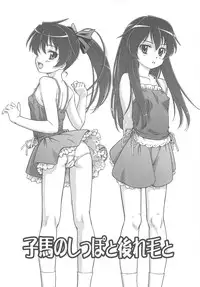 [Fuji Shinobu] Koakumalita