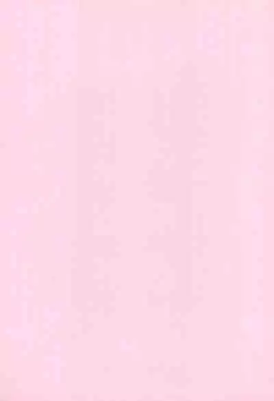 Chicchakute Ecchi Hon 8