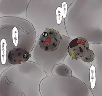 ラジコン（Chinese)