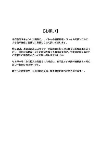 Rogue Spear 208 Download edition