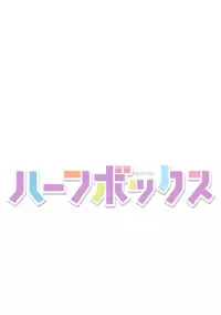 [Kagura Moromi] HALF BOX