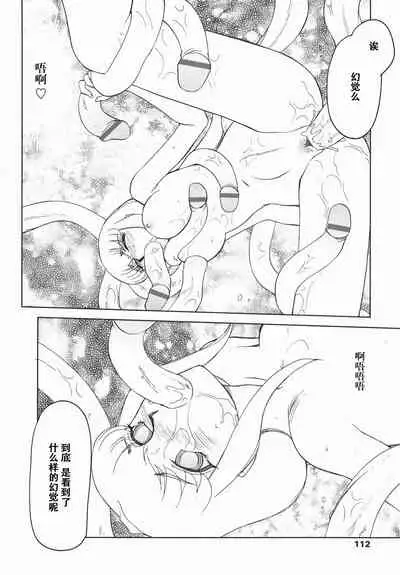 [Taira Hajime] Kamen no Kishi Orleana Kouhen [Chinese] [流星汉化]