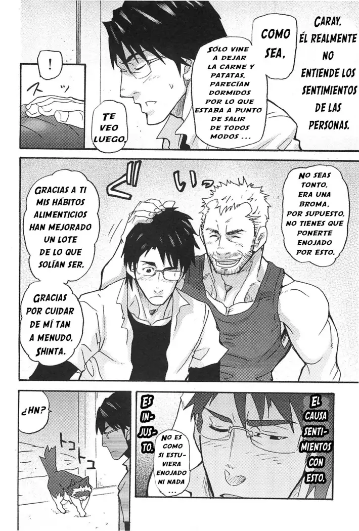 El Tanuki del agujero de un hombre