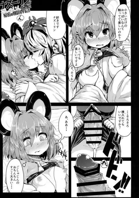 Nazrin ga Goshujin no Tame ni Himitsu no Tokkun o Suru Hanashi