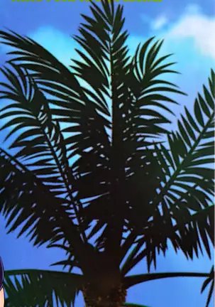 Love Kachu - Lovers Time