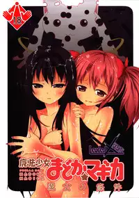 [LevelXStudio (LevelXBrave)] Witches' Prerequisites (Puella Magi Madoka Magica) [English] [EHCOVE]