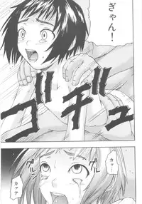 [Nakajima Daizaemon] Tsuru Manjaro