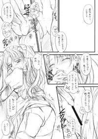 (COMIC1☆2)[[Yakan Honpo & Yakan Hikou (Inoue Tommy)] Prunus Persica 1.5 (Fate/stay night)