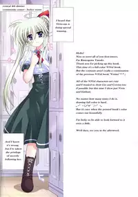 (COMIC1☆6) [Kamogawaya (Kamogawa Tanuki)] EXV (Mahou Shoujo Lyrical Nanoha) [English] {Krymsun}